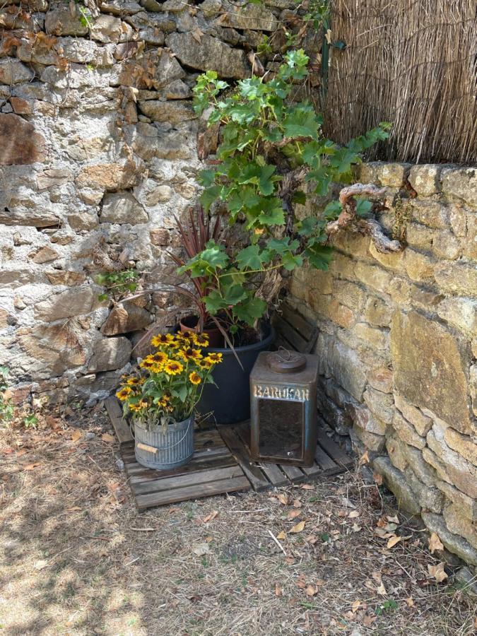 Le Patio, Coeur De Ville Avec Garage Et Jardin Vannes Exteriör bild