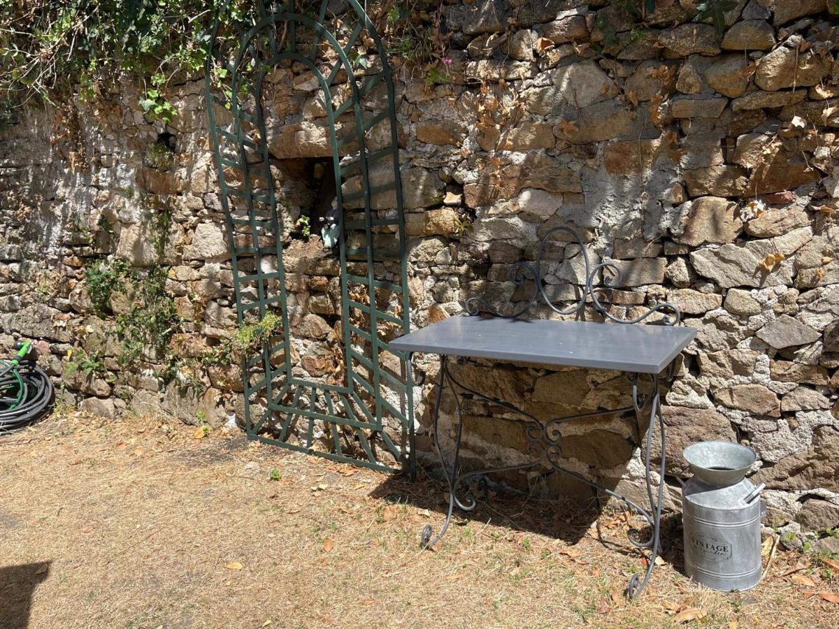 Le Patio, Coeur De Ville Avec Garage Et Jardin Vannes Exteriör bild